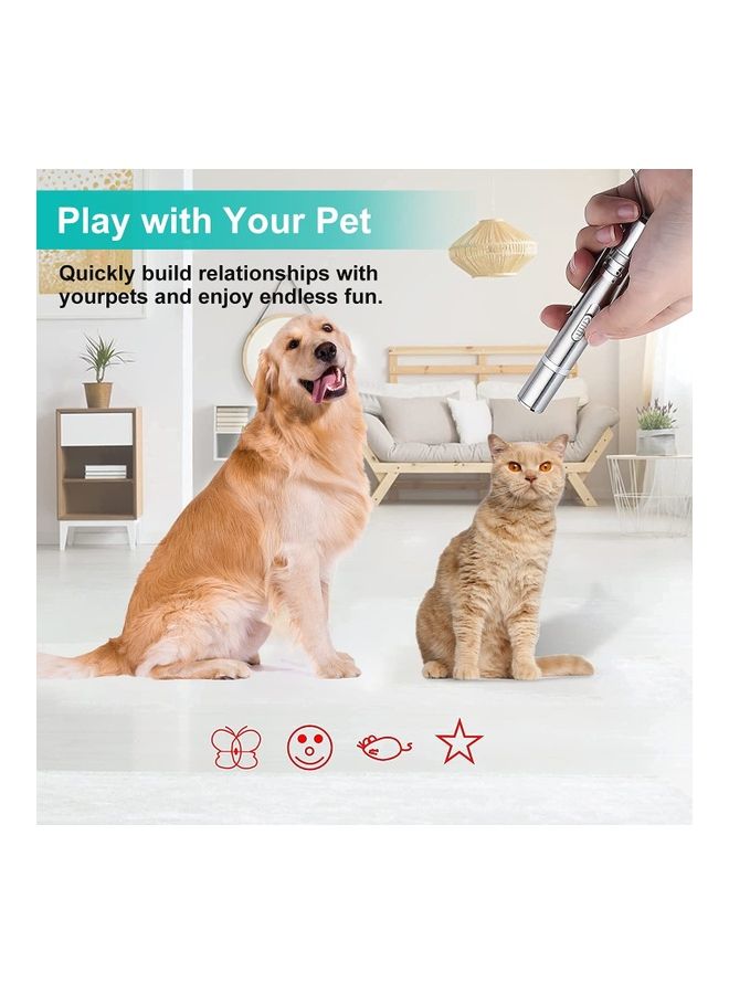 LED Laser Light Pointer Silver - Image 3